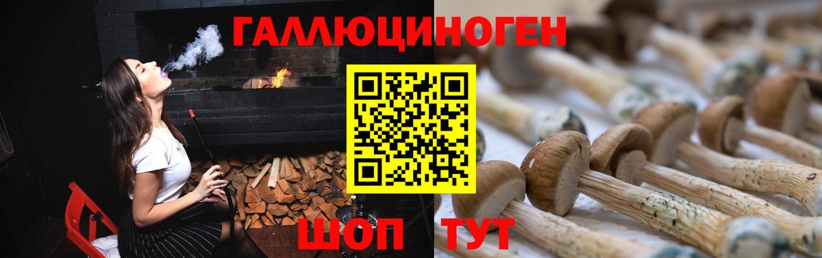 Галлюциногенные грибы Cubensis Кимовск